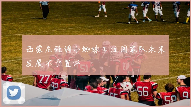 西蒙尼强调小蜘蛛专注国家队未来发展不予置评